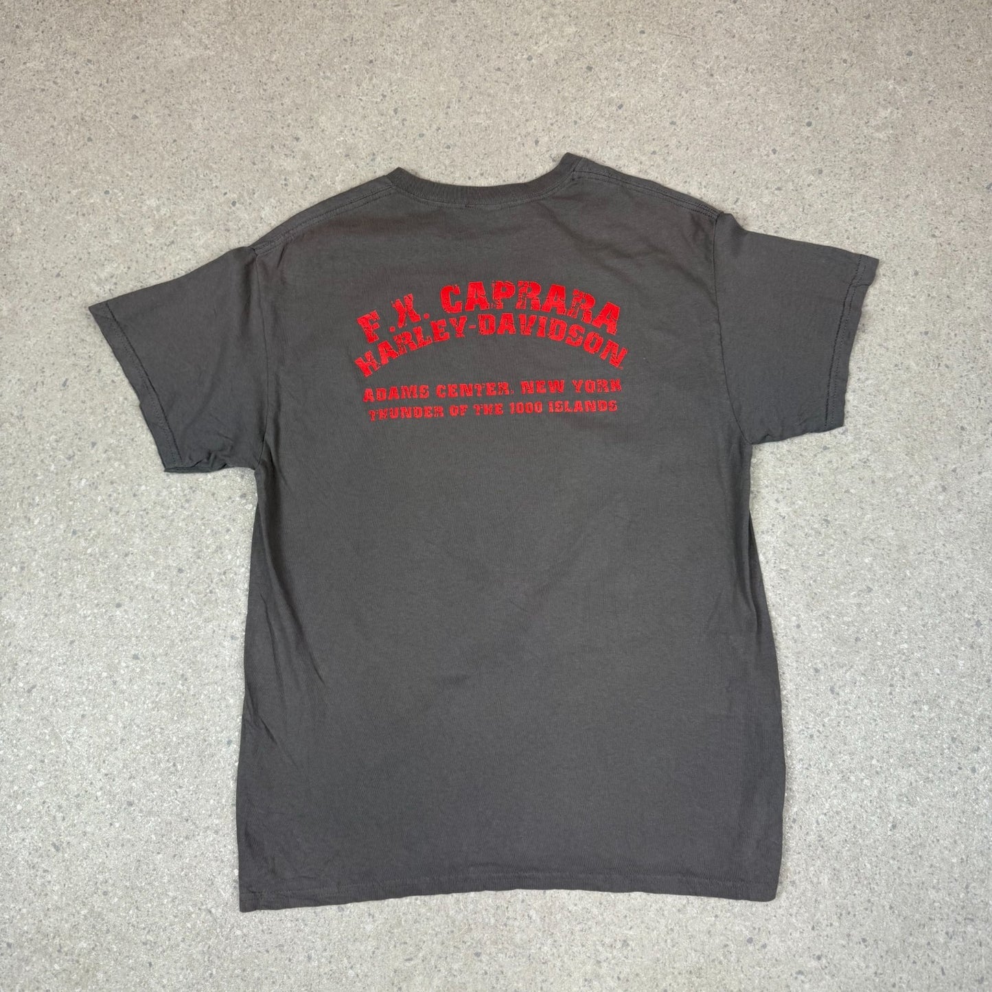 Harley Davidson T Shirt M / L Grey New York American Legend Graphic Tee