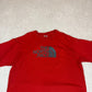 The North Face T Shirt XL Burnt Orange
