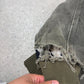 Carhatt Active Jacket XL Moss Green Colourway J130MOS Hoodie