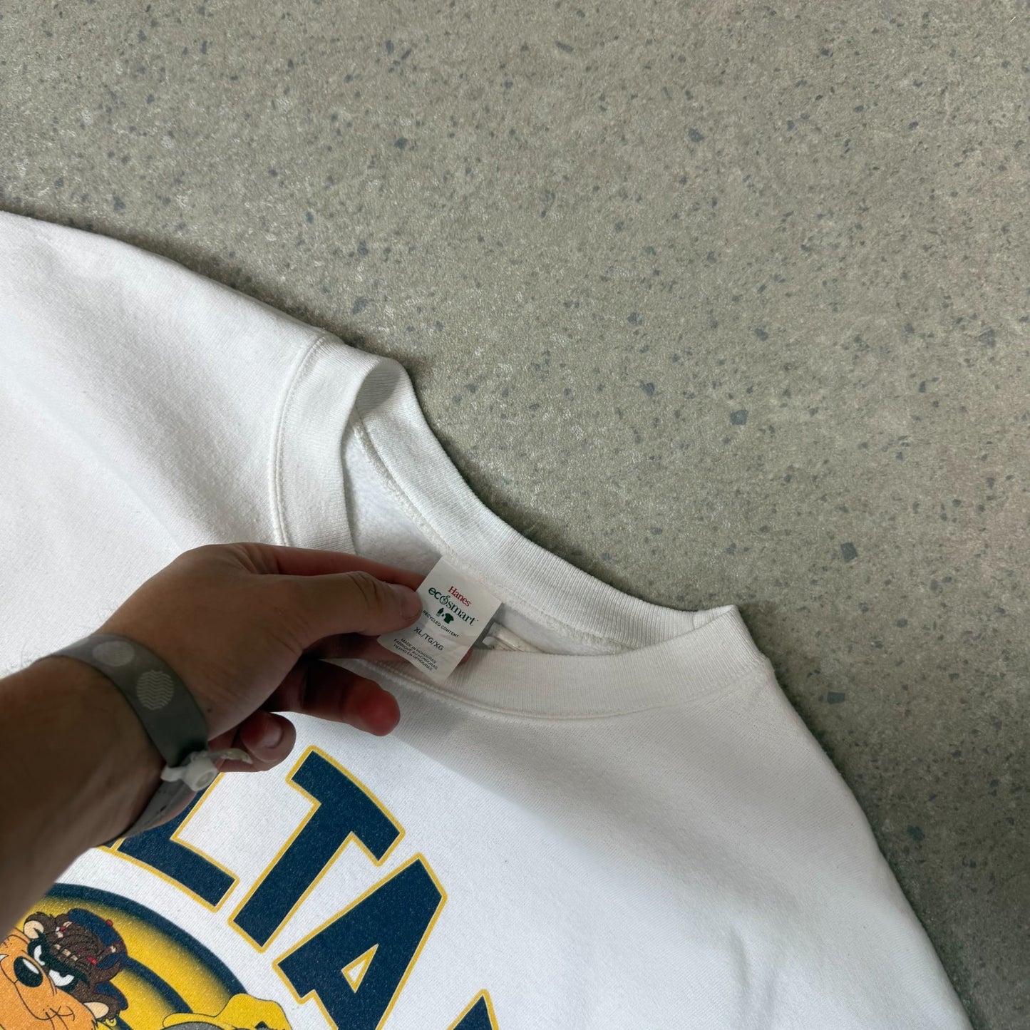 Looney Tunes 90s Sweatshirt XL Michigan Delta U Vintage
