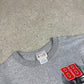 NASCAR's Chase Authentic T Shirt Large Grey Dale JR Graphic 2009