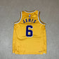 Nike LA Lakers NBA Jersey Small Yellow 6 James